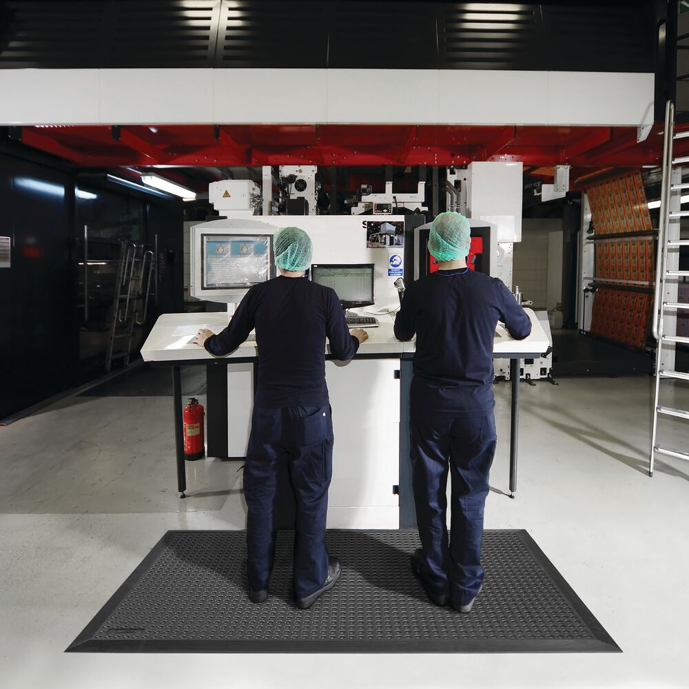 Skystep - Afbeelding 3